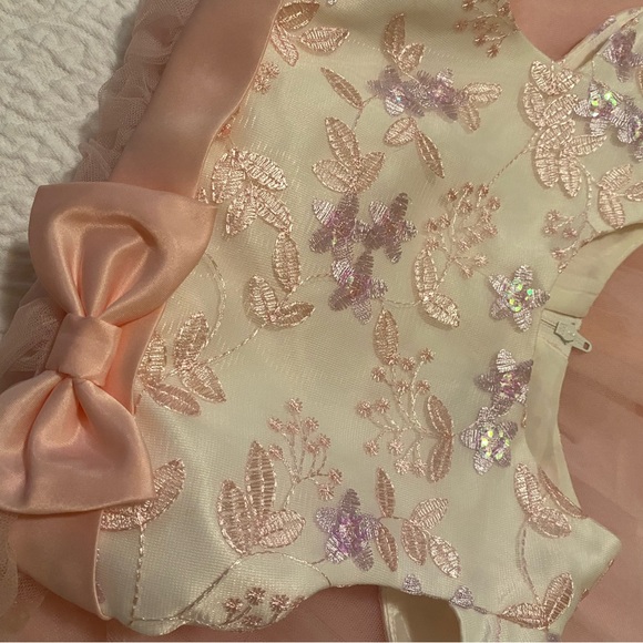 Rare Editions Blush Formal Dress- Beaded Cream Light Pink 5T - Picture 3 of 5